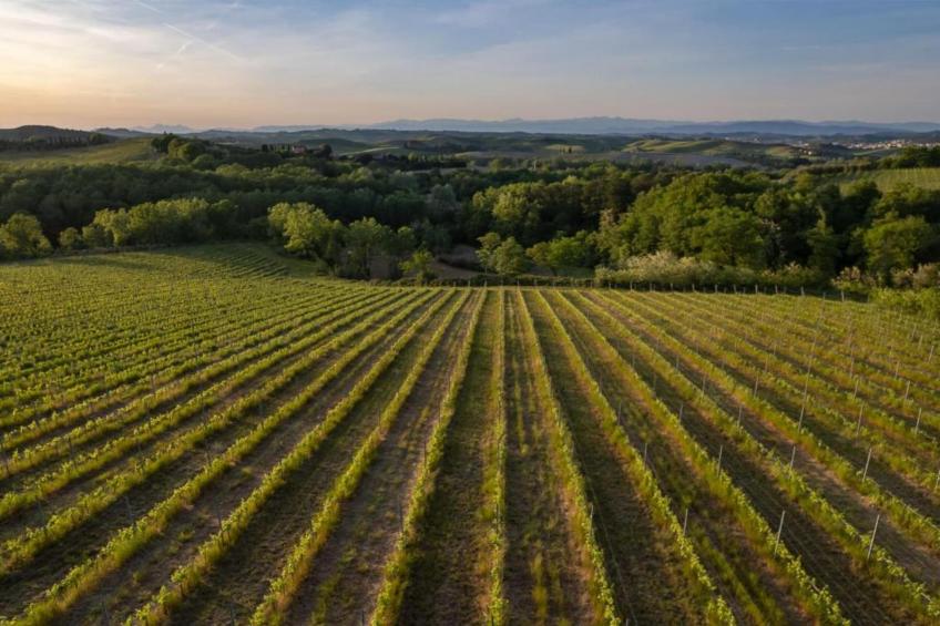 Biancospino - foto 28