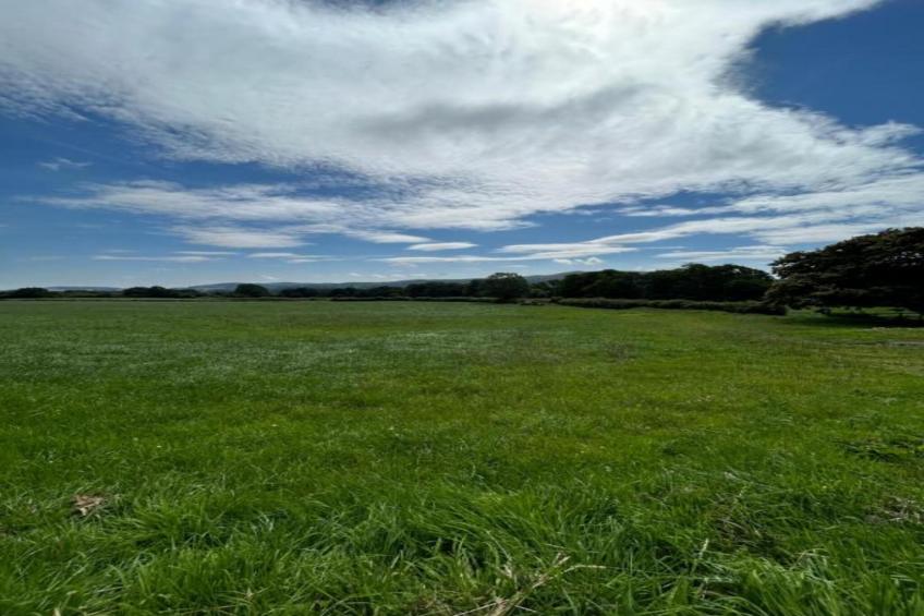 Netley Hall - Thyme - foto 28