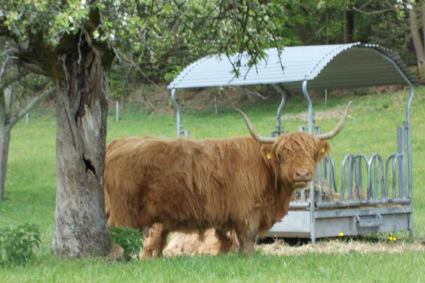 Monterosa in Baden-Baden - foto 33