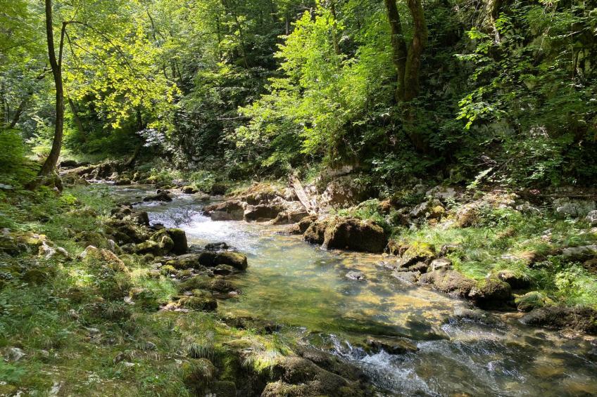 mit Terrasse, Grill und Garten - foto 52