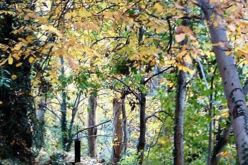 Ländliches Haus Medulas 3 Belegung für 4 6 PAX - foto 3