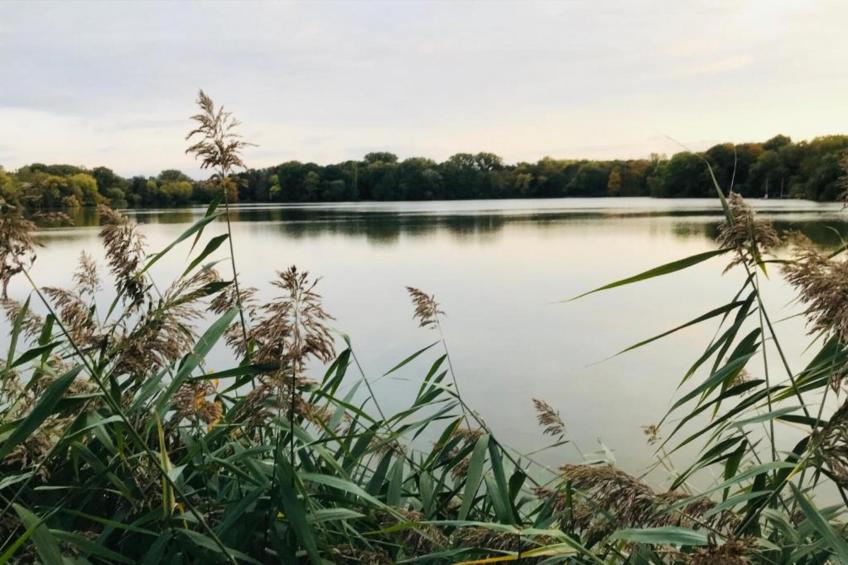 Little Hanoi - foto 33