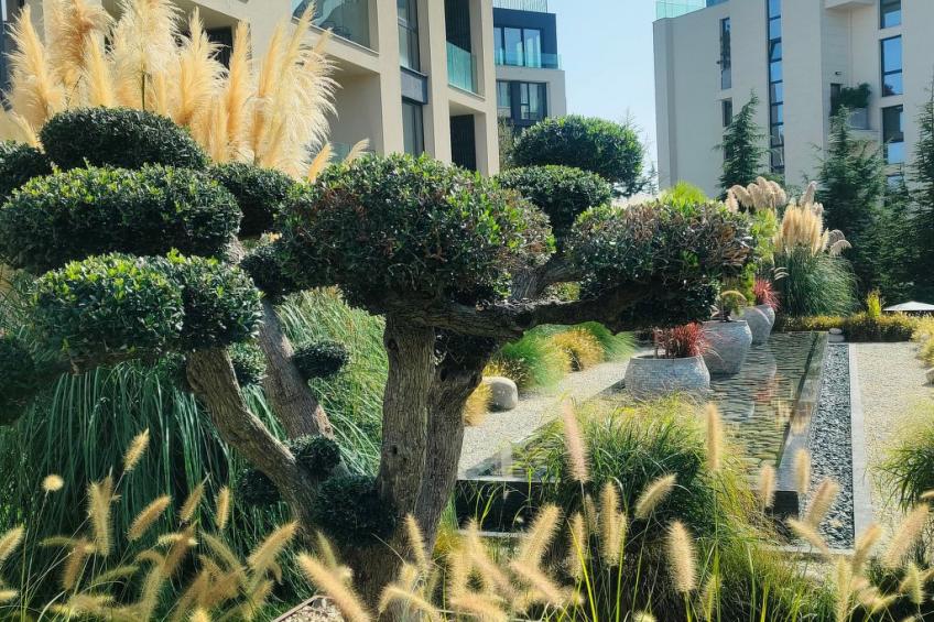 Ateliers Allure Varna - foto 14