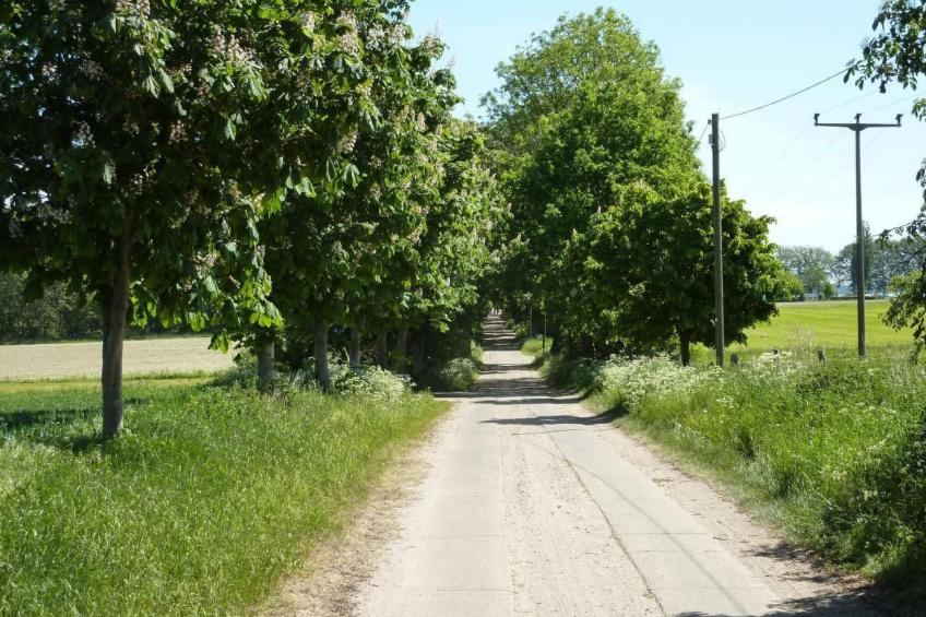 Müritzbrise groß in in Ludorf - foto 20