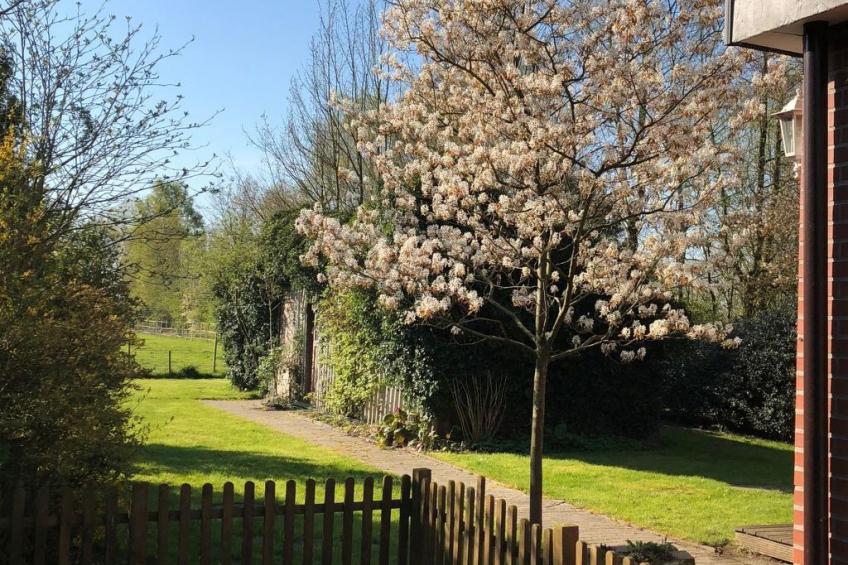 Haus am Reithmoor - foto 5