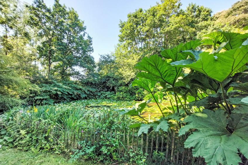 La Grulais - foto 47