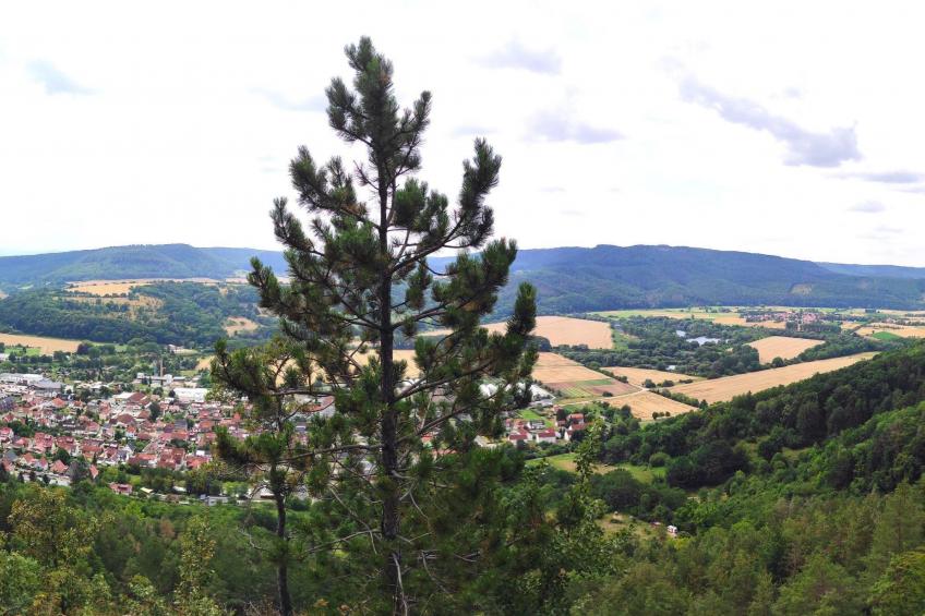 cosyTinyhouse - foto 11