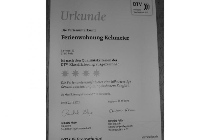 62135 - foto 24