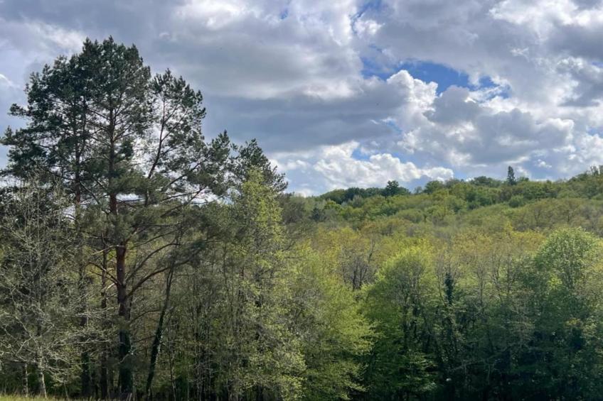 Les Côteaux de Sarlat - foto 32