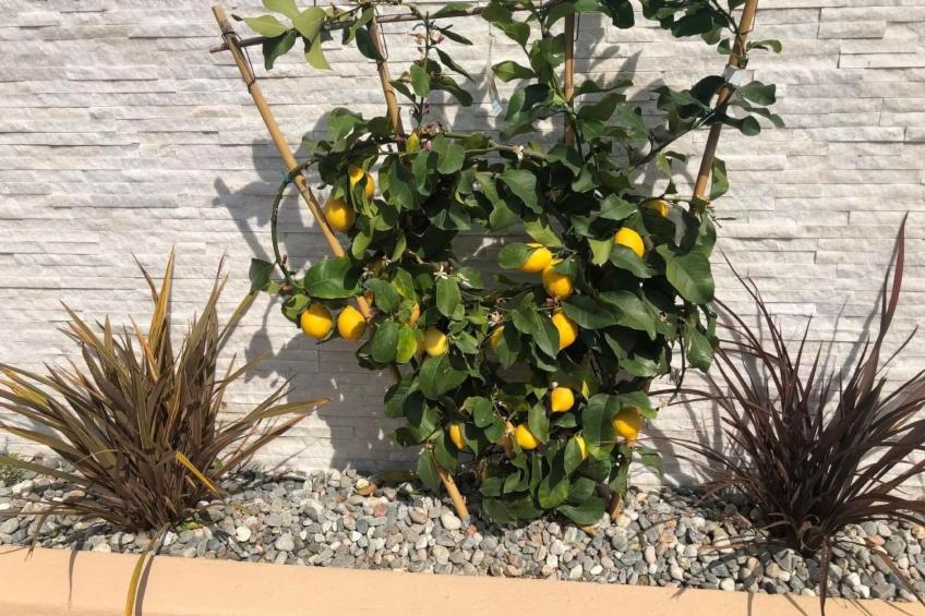 Villa Samar - foto 12