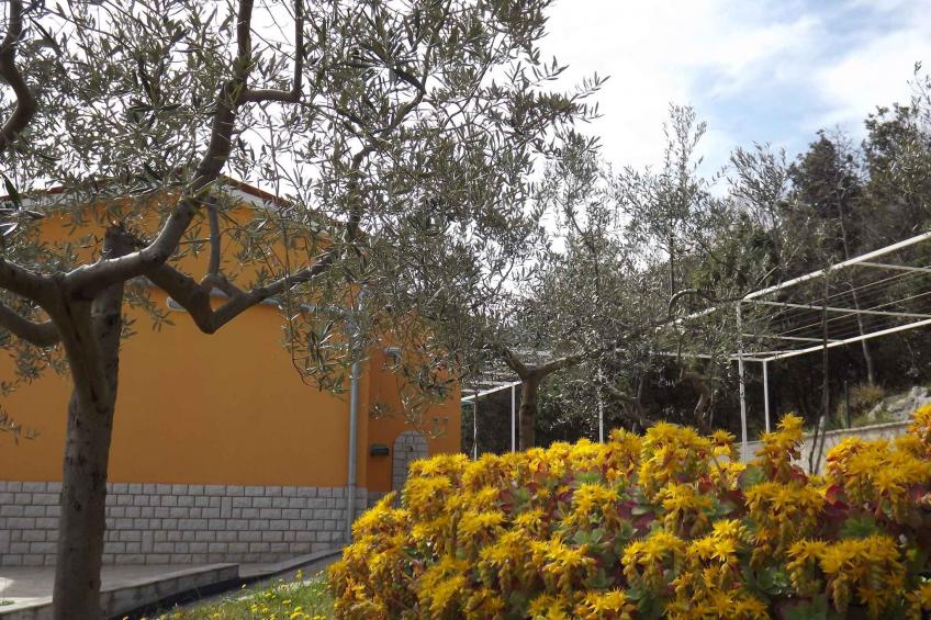 Vakantiewoning met een terras, balkon en zeezicht - BF-8N88J - foto 3
