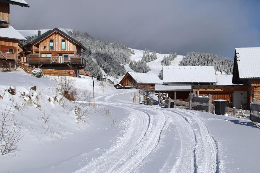 Alpina Lodge - foto 49