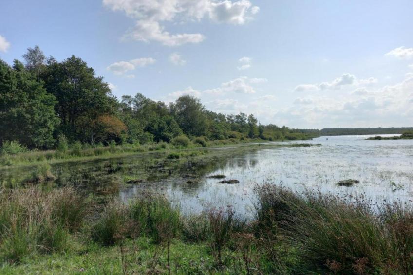 Maison de vacances - CLOHARS-CARNOET - foto 37