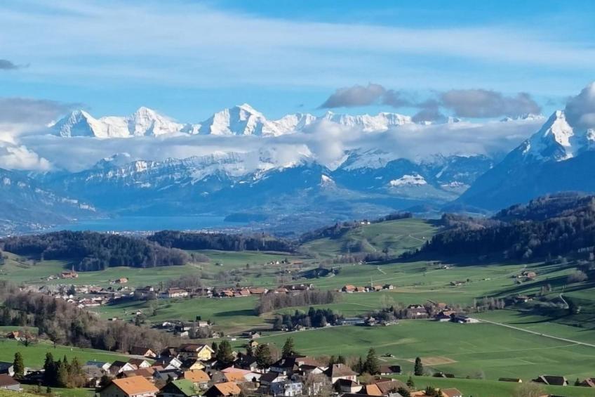 Wellness Oase - foto 25