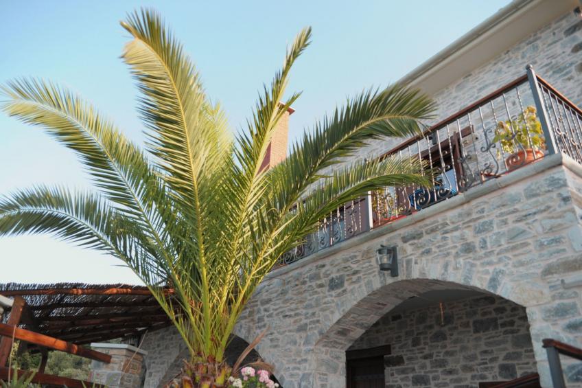 Villa im Grünen - foto 26