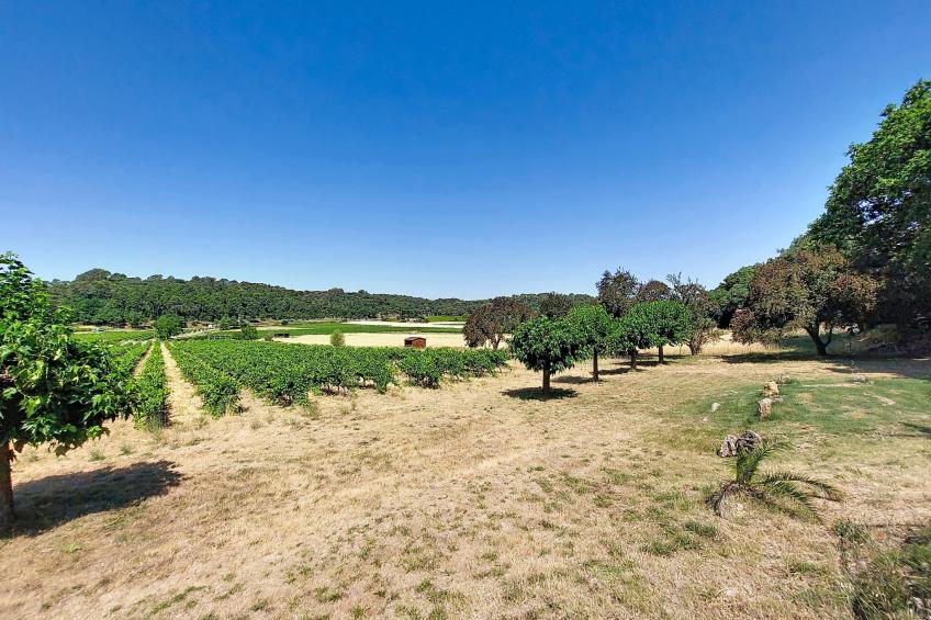 Chateau Payan - foto 58