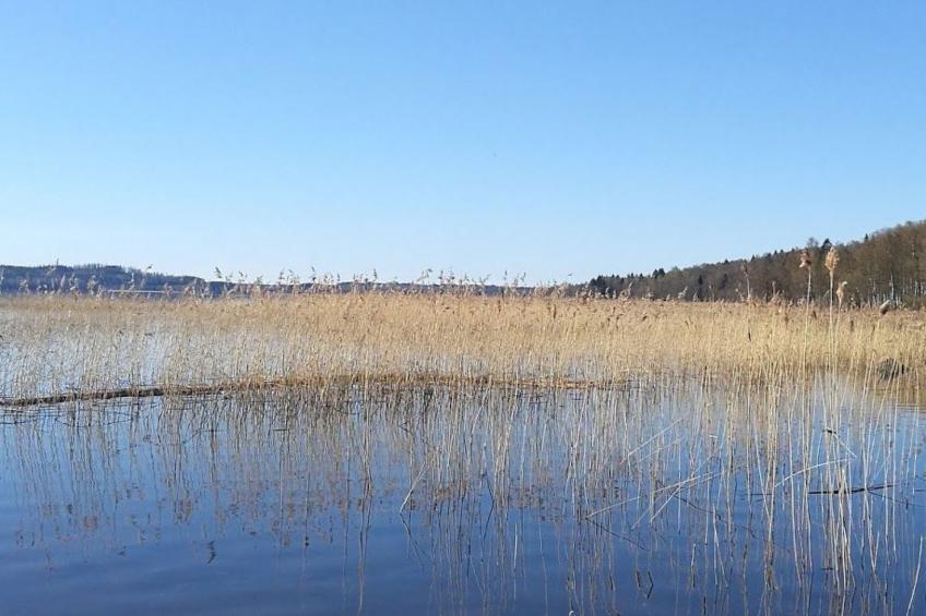 am See Åsunden mit herrlicher Aussicht - foto 48