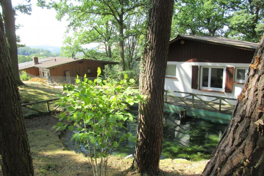 Ferienhäuser mit Pool in ruhiger Lage am Waldrand - foto 5