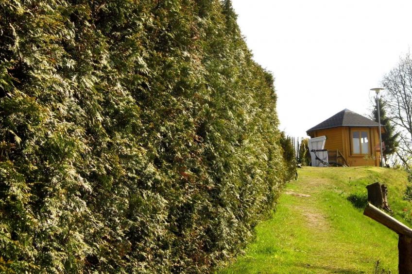 am malerischen Nepperminer See - foto 15