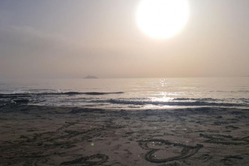 "Mimosa" direkt am Strand - foto 10