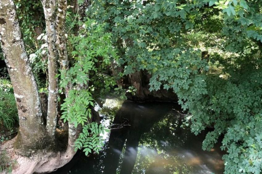 The Water Mill of Tourteron - foto 65