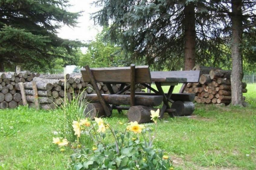 mit Blick auf das Wasser - foto 13