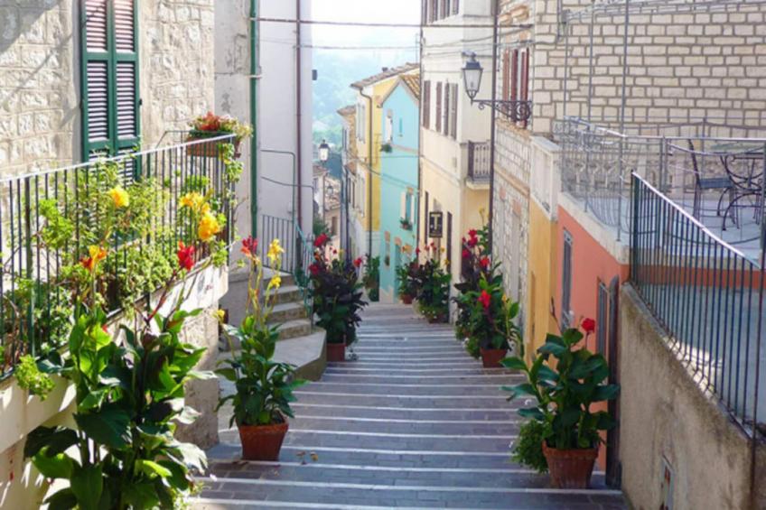 TRILO NOVELLA 2 - foto 21