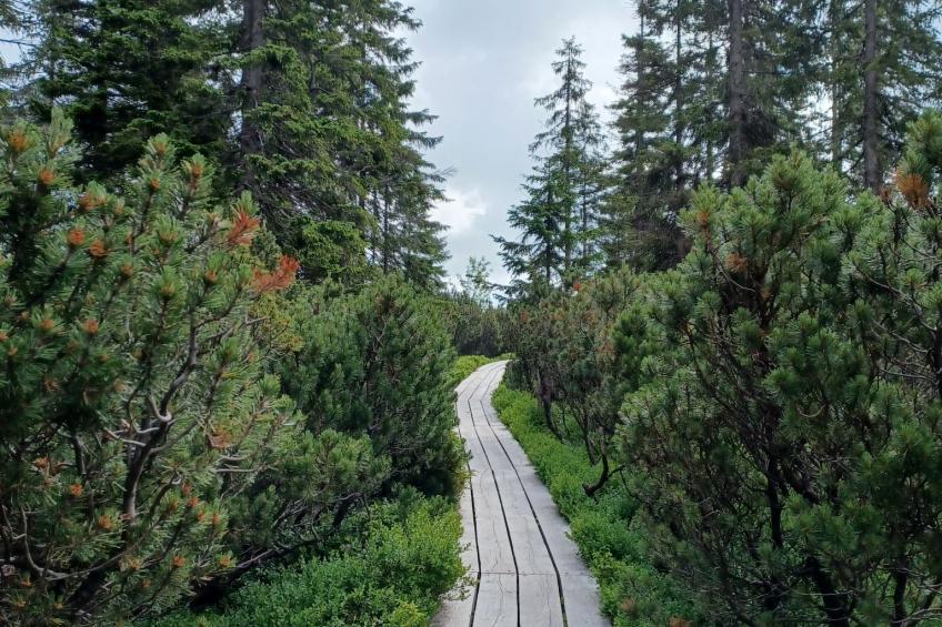 Ski&Bike Siréna - foto 19