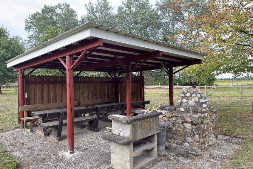 Lüneburger Heide - foto 31