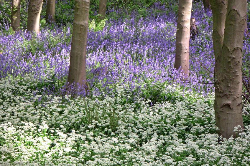 Ingleby Manor - South Front - foto 3