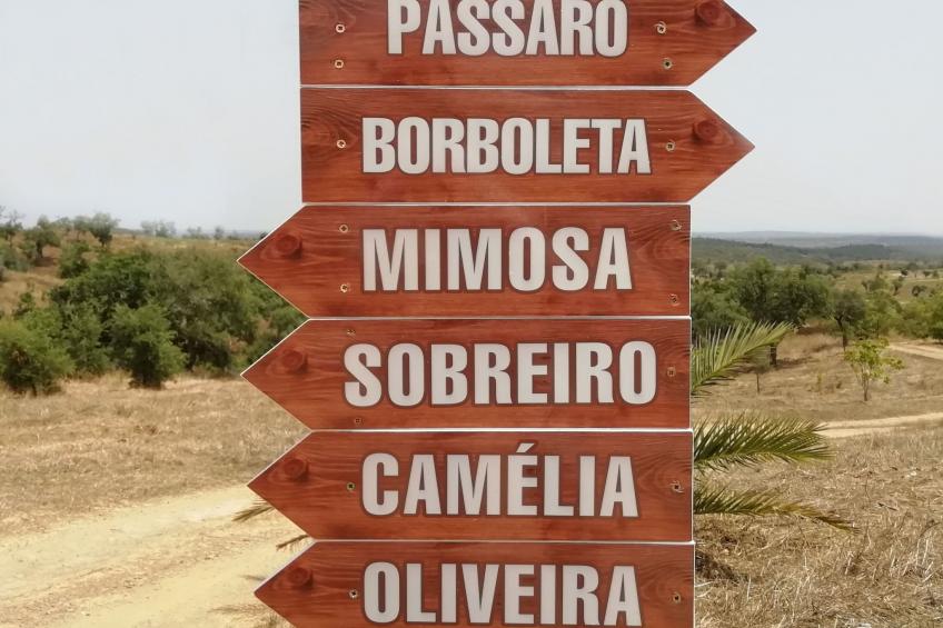 Monte Horizonte Casa Camelia Öko und Natur - foto 16