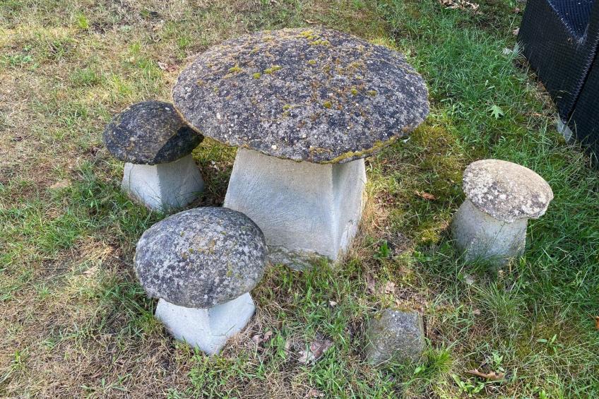 Ferien in Wageningen - foto 28