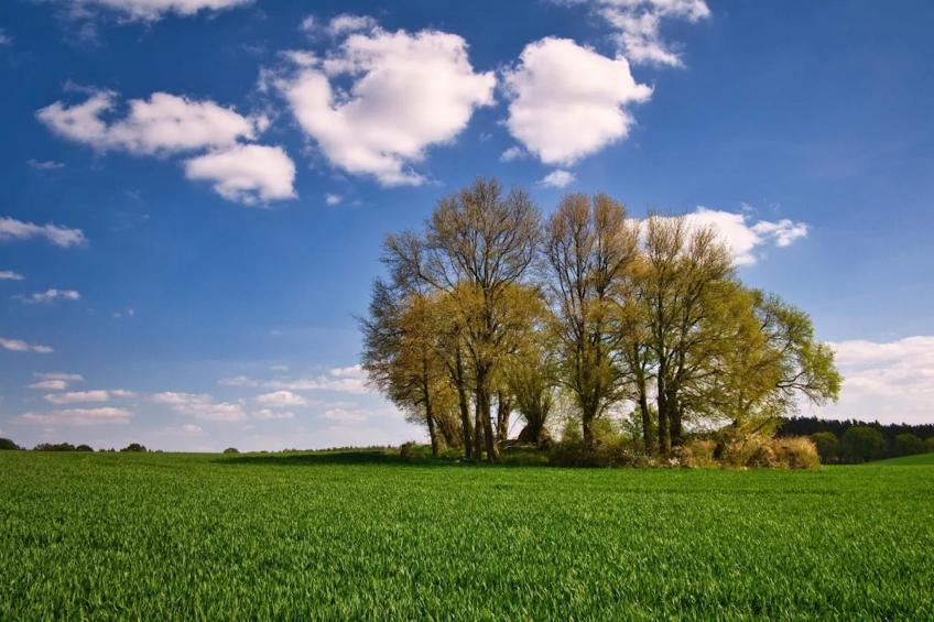 Ferienwohnung Weitblick - foto 22