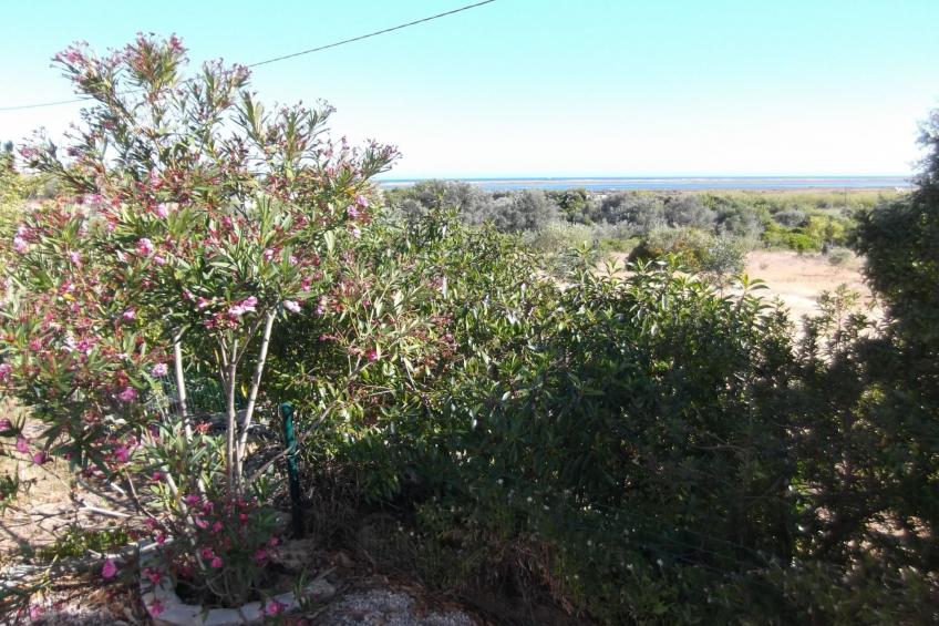 Casinha Lena - foto 11