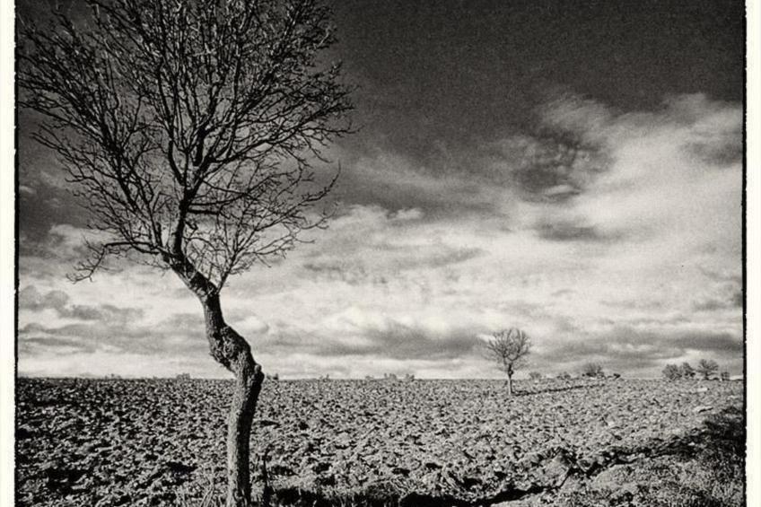 Il Melograno Panoramahaus - foto 4