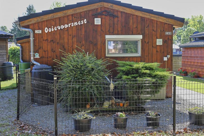 Ooievaarsnest - foto 36