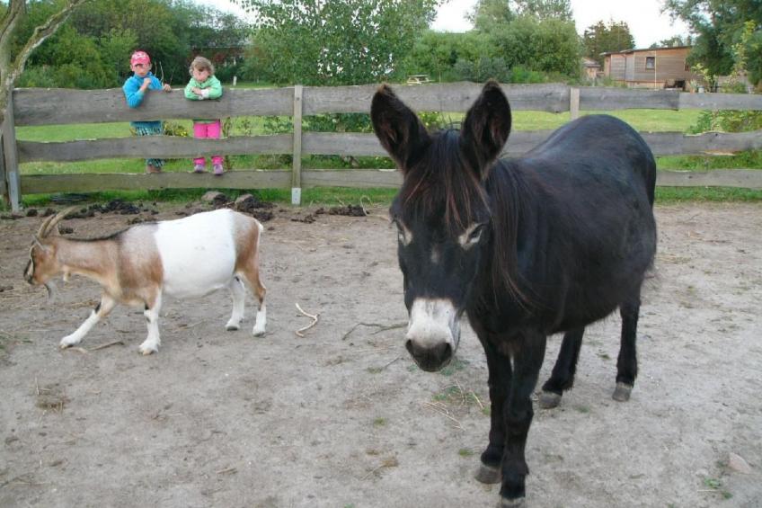 Zeesenboot mit möblierter Terrasse - foto 5