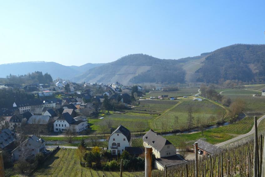 Haus Moselblick - foto 35