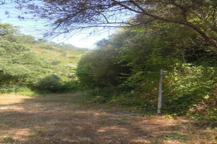 Casa do Pomar - foto 31