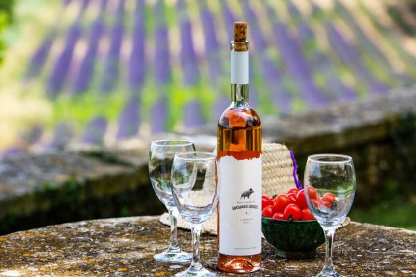 Bastide De L'esclat - Piscine - Champs De Lavandes - foto 32