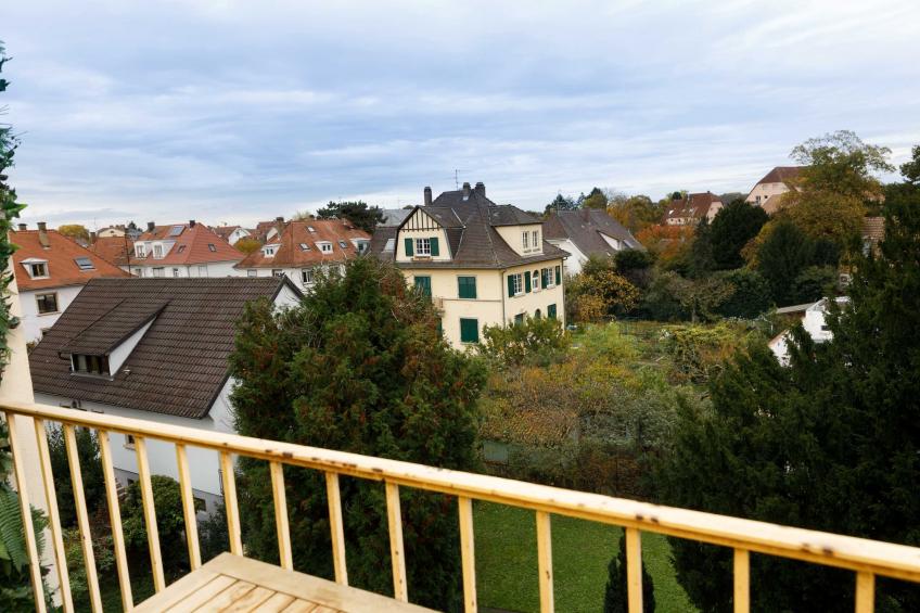 SJ-94-BOECKLIN - foto 33