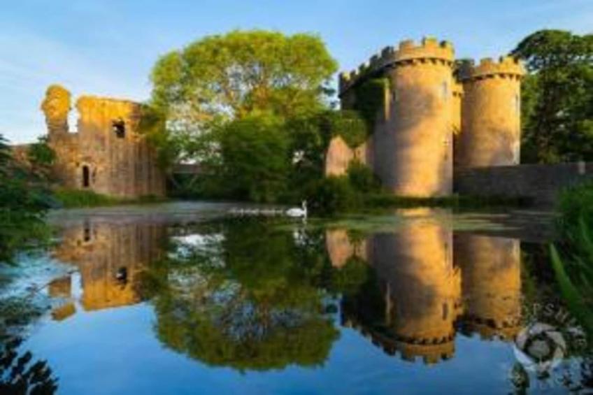 Netley Hall - Rose - foto 35