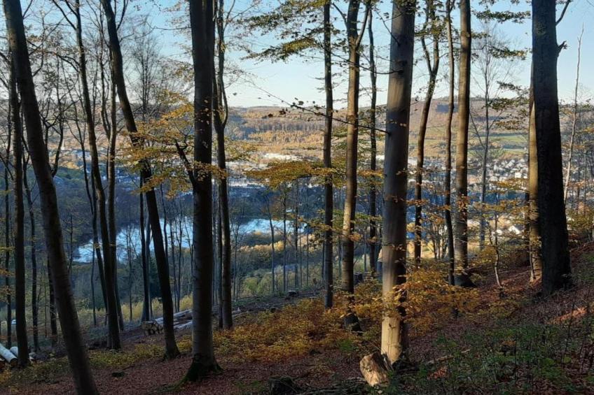 Im Ries III - foto 36