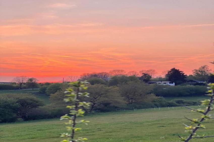 Bungalow Typ B 4P - Camping Park in der Eifel - foto 33