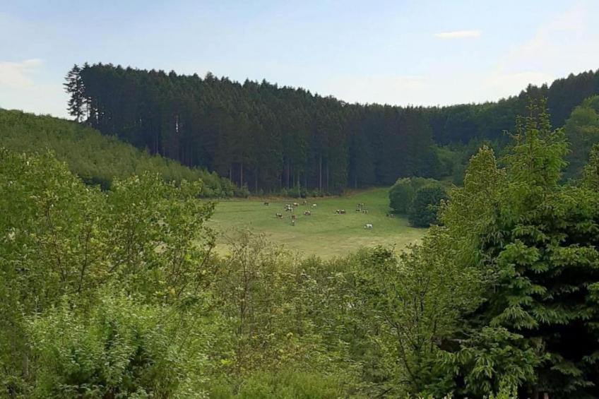 Ferienwohnung Silbecke - foto 17