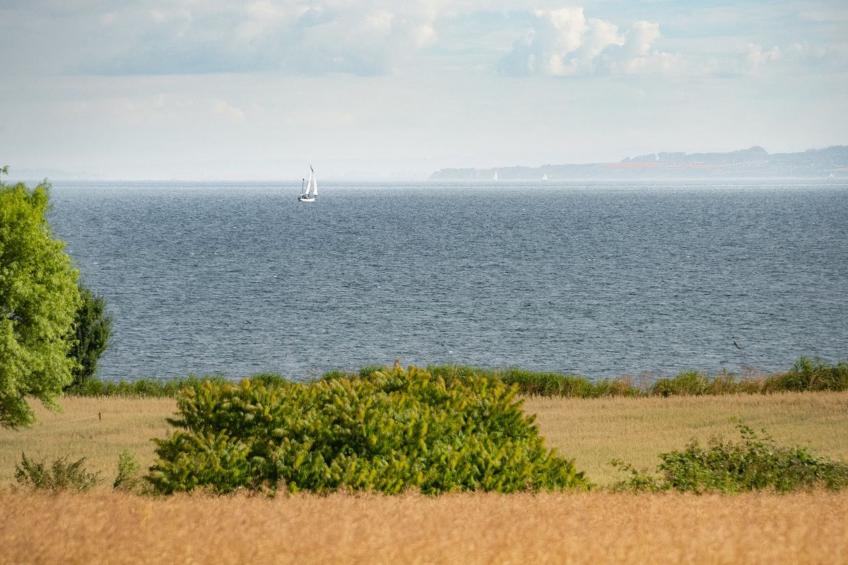 "Edithe" - 250m from the sea in SE Jutland - foto 23