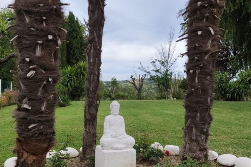 'Dear Peace on the Hill - foto 12