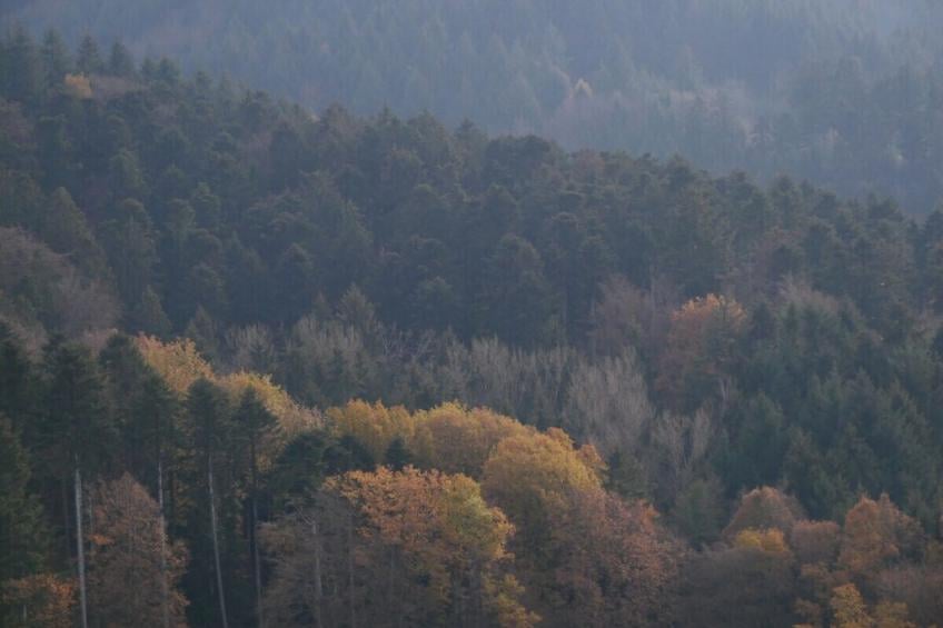 276966 - foto 5