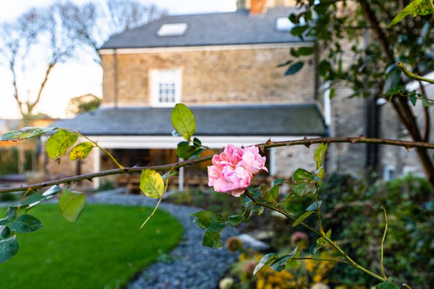 ARC Padstow - foto 20