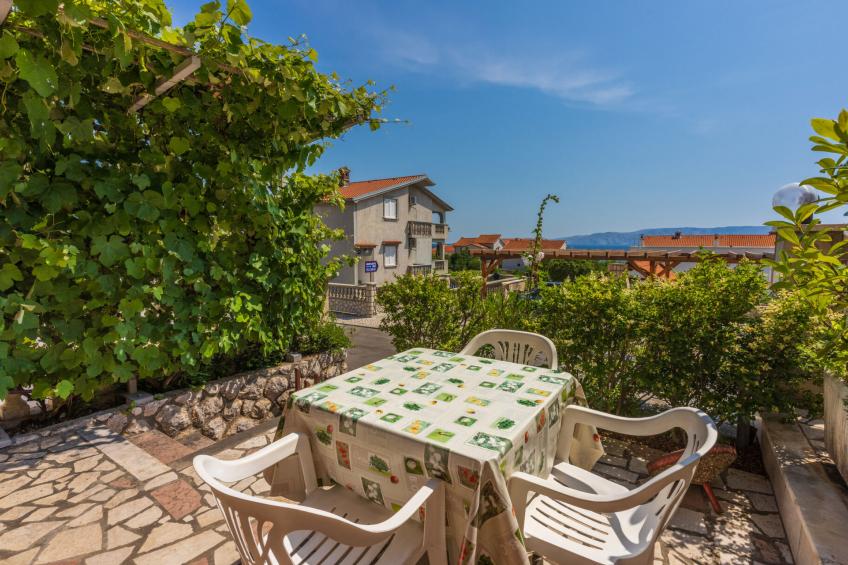 Agava mali / HR-11139-01 - foto 5